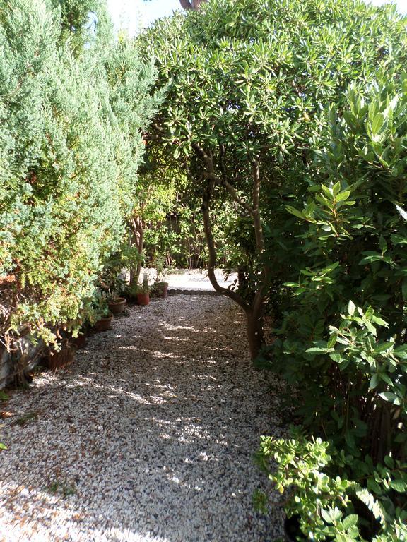 Le Midi Versilia Lido di Camaiore Kültér fotó